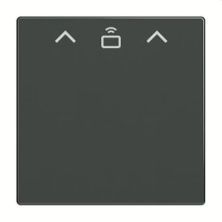 Busch-Jaeger Zentralscheibe 1792 RFID-81 Cardschalter RFID