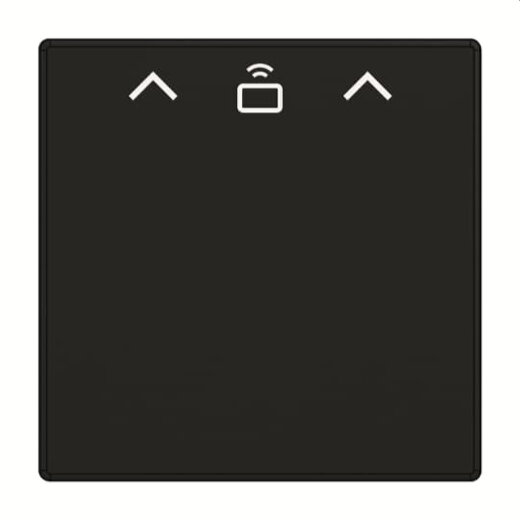 Busch-Jaeger Zentralscheibe 1792 RFID-885 Cardschalter RFID