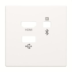 Busch-Jaeger Zentralscheibe 8256-884 Media Connector