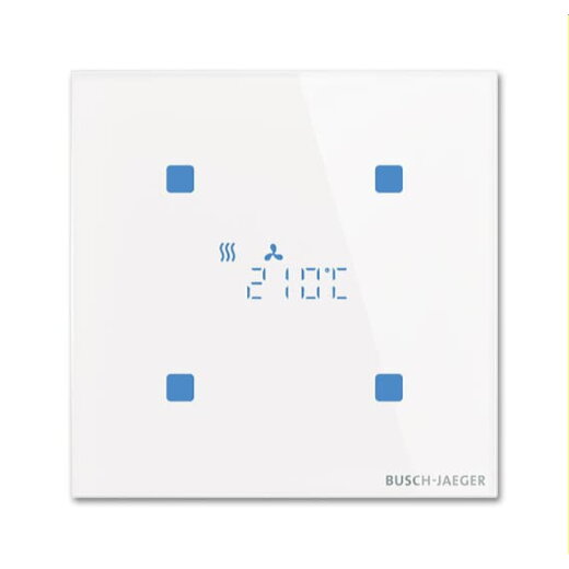 Busch-Jaeger Raumtemperaturregler TR/U.1.11-CG