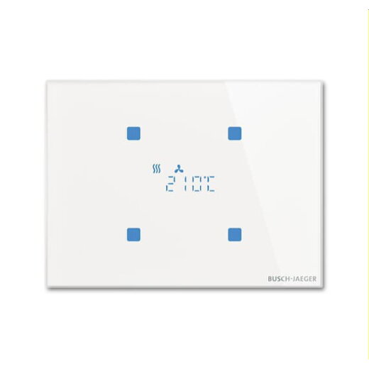 Busch-Jaeger Raumtemperaturregler TR/U.2.11-CG