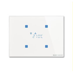 Busch-Jaeger Raumtemperaturregler TR/U.2.11-CG