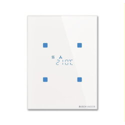 Busch-Jaeger Raumtemperaturregler TR/U.3.11-CG