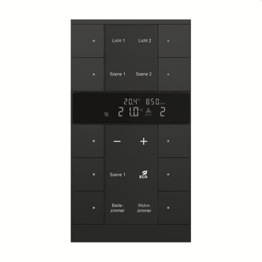 Busch-Jaeger Raumtemperaturregler SBC/U10.0.11-885 HVAC/CO2 10-f.sw mt