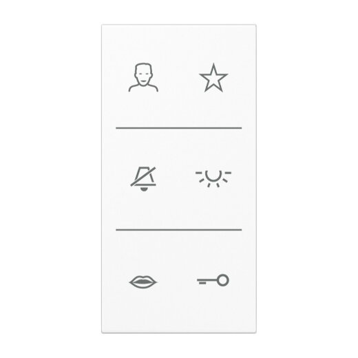 Jung Design-Cover Video, F50, Serie LS, alpinweiß SIV6LSDCWW