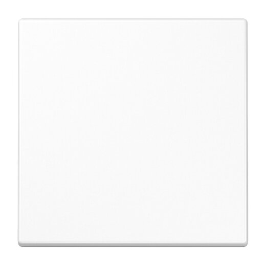 Jung EnOcean Funk-Wandsender 2-kanalig, Serie LS, alpinweiß ENOLS990WW