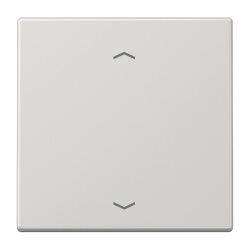 Jung EnOcean Funk-Wandsender 2-kanalig, mit...