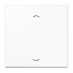 Jung EnOcean Funk-Wandsender 2-kanalig, mit...