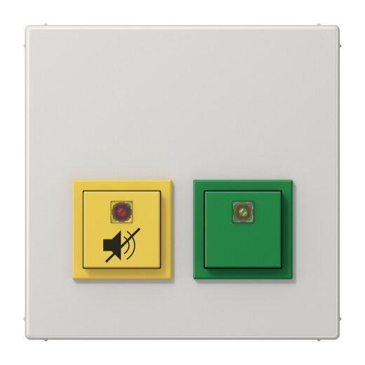 Jung Notrufsystem Dienstzimmereinheit, Serie LS, lichtgrau NRSLS0834DZELG