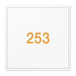 Jung Glasabdeckung 1fach, ohne Symbole, Serie LS,...