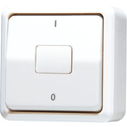 Jung Wippschalter, Aus 2-pol., 10 AX 250 V ~, AP 600,...