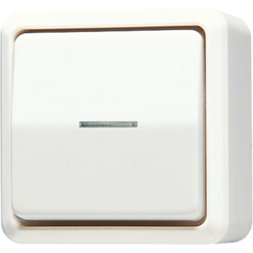 Jung Wipp-Kontrollschalter, Universal Aus-Wechsel, 10 AX 250 V ~, AP 600, weiß 606KO5A
