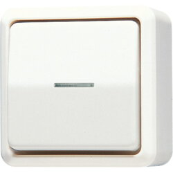 Jung Wipp-Kontrollschalter, Universal Aus-Wechsel, 10 AX...