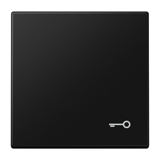 Jung Wippe, Symbol Tür, Serie LS, graphitschwarz matt LS990TSWM