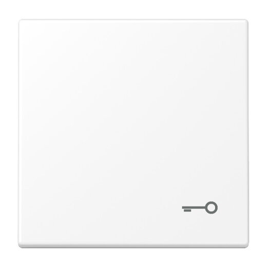 Jung Wippe, Symbol Tür, Serie LS, schneeweiß matt LS990TWWM