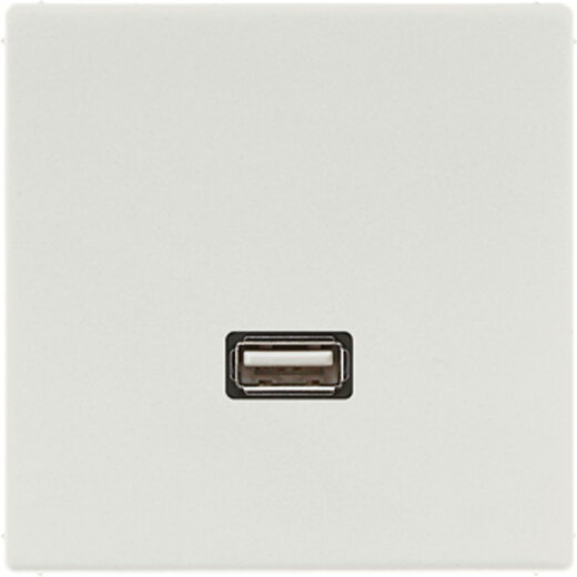 Jung Multimedia-Anschlusssystem USB 2.0, Serie LS, lichtgrau MALS1122LG