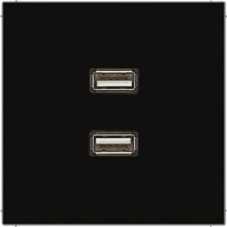 Jung Multimedia-Anschlusssystem 2 x USB 2.0, Serie...