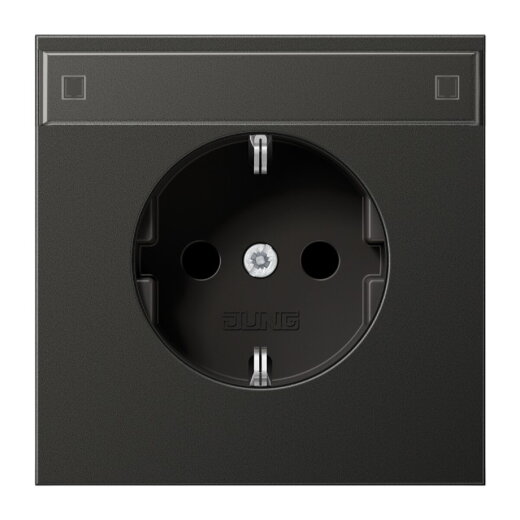 Jung SCHUKO Steckdose, 16 A 250 V ~, mit Schriftfeld, SAFETY+, Aluminium lackiert, Serie LS, anthrazit AL1520KINAAN