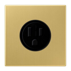 Jung Steckdose, US-Norm NEMA, 15 A 125 V ~,...