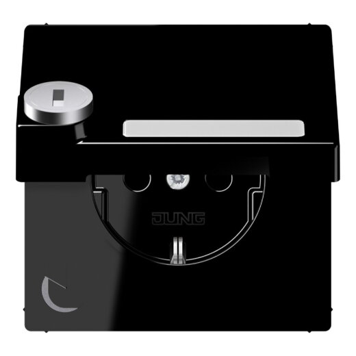 Jung SCHUKO Steckdose, 16 A 250 V ~, mit Schriftfeld, mit Sicherheitsschloss, Thermoplast, Se LS1520NAKLSLSW