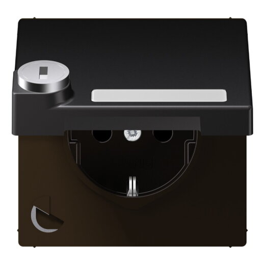 Jung SCHUKO Steckdose, 16 A 250 V ~, mit Schriftfeld, mit Sicherheitsschloss, Thermoplast lac AL1520NAKLSLD