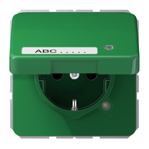 Jung SCHUKO Steckdose, 16 A 250 V ~, ohne Krallen, mit Funktionsanzeige, mit Schriftfeld, The CD1520NAKLKOGN