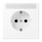Jung SCHUKO Steckdose, 16 A 250 V ~, mit Schriftfeld, Serie LS, schneeweiß matt LS1520NAWWM