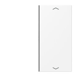 Jung Taste 2fach, mit Pfeilsymbolen, F40, Serie LS,...