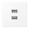 Jung Multimedia-Anschlusssystem 2 x USB 2.0, Serie LS, schneeweiß matt MALS1153WWM