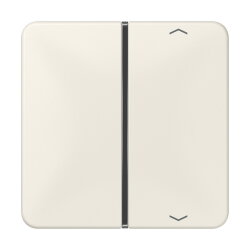 Jung Taste 1fach, mit Pfeilsymbolen, F40, Serie CD,...