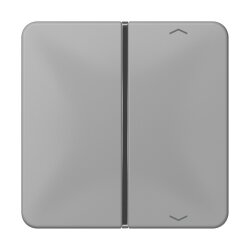 Jung Taste 1fach, mit Pfeilsymbolen, F40, Serie CD, grau...