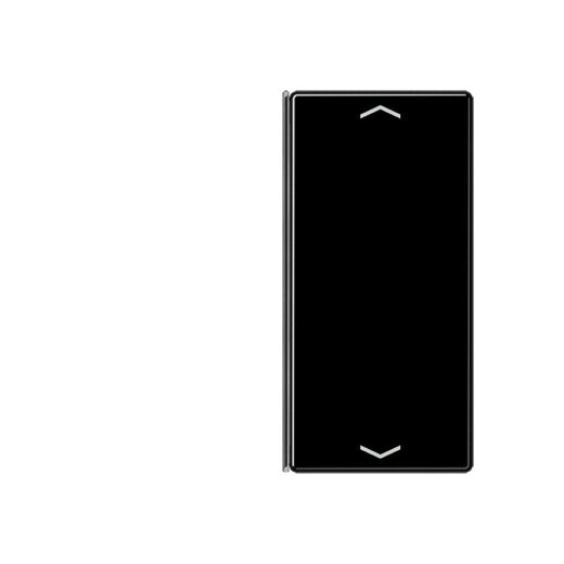 Jung Taste 2fach, mit Pfeilsymbolen, F40, Serie A, schwarz A402TSAPSW