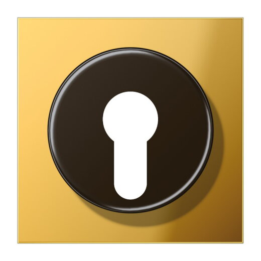 Jung Abdeckung für Schlüsselschalter mit Demontageschutz, Metall goldfarben PVD-beschichtet, Serie LS, goldfarben GO2928