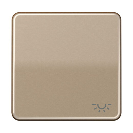 Jung Wippe 1fach, Symbol Licht, Aluminium eloxiert, Serie CD, gold-bronze CD590LGB