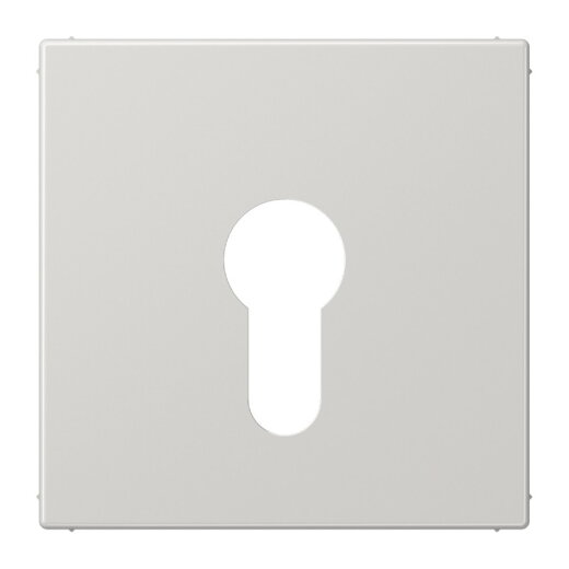 Jung Abdeckung für Schlüsselschalter ohne Demontageschutz, Thermoplast, Serie LS, lichtgrau LS925LG