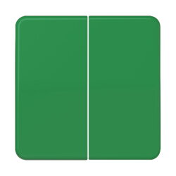 Jung Wippe 2fach, Duroplast, Serie CD, grün CD595GN