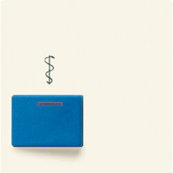 Jung Abdeckung für Ackermann, Typ 73022 A 2, blau,...