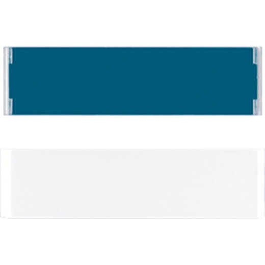 Jung Transparente Abdeckung mit Einlage für Schriftfeld 17 x 72 mm , AP 600, Einlage alpinweiß 606NA