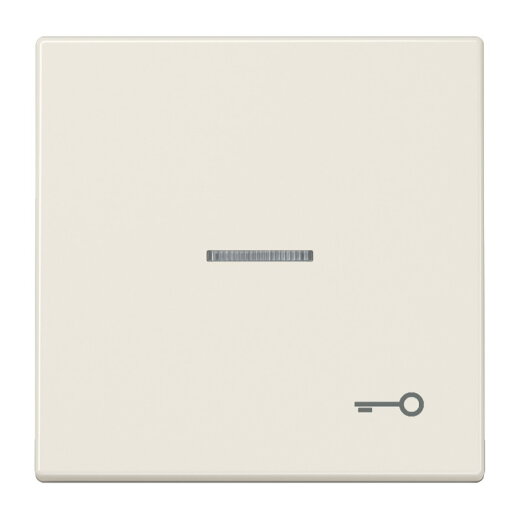 Jung Wippe mit Lichtleiter, Symbol Tür, Duroplast, Serie LS, weiß LS990KO5T