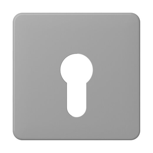 Jung Abdeckung für Schlüsselschalter ohne Demontageschutz, Thermoplast, Serie CD, grau CD525GR