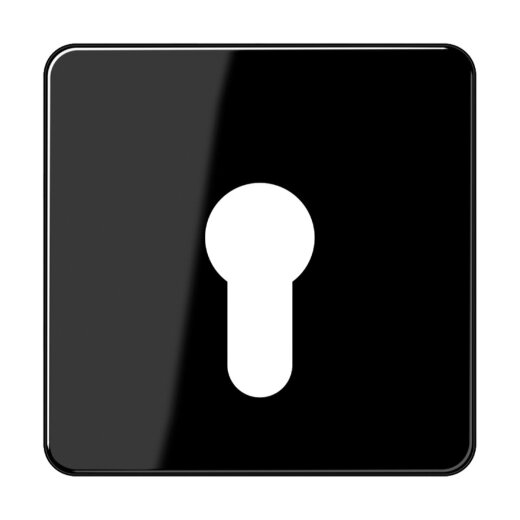 Jung Abdeckung für Schlüsselschalter ohne Demontageschutz, Thermoplast, Serie CD, schwarz CD525SW