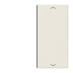 Jung Taste 2fach, mit Pfeilsymbolen, F40, Serie LS,...