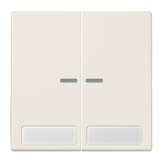 Jung Wippe 2fach mit Lichtleiter, mit Schriftfeld, Duroplast, Serie LS, weiß LS995NAKO5