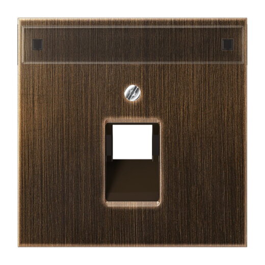 Jung Abdeckung für IAE/UAE-Anschlussdosen 1 x 8-polig, mit Schriftfeld, Messing, Serie LS, Messing antik ME2969-1NAUAAT