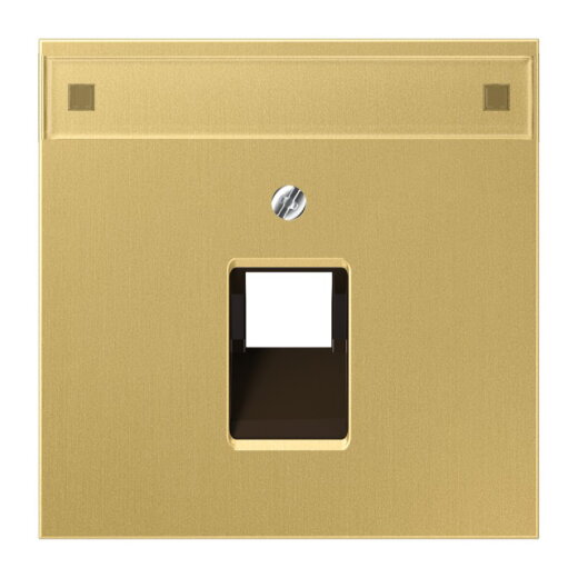 Jung Abdeckung für IAE/UAE-Anschlussdosen 1 x 8-polig, mit Schriftfeld, Messing, Serie LS, Messing classic ME2969-1NAUAC