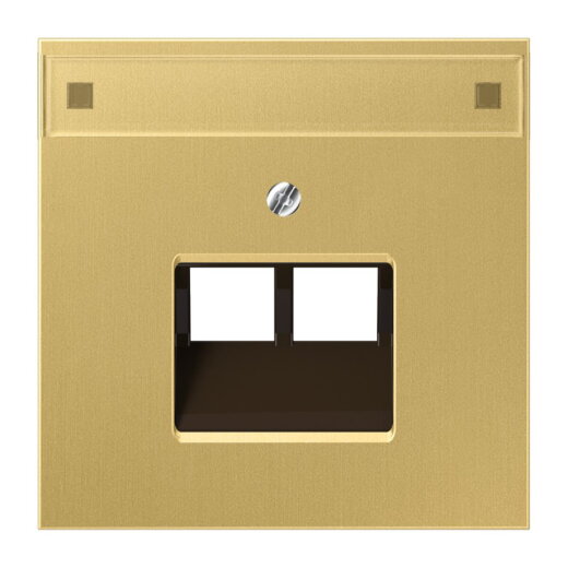 Jung Abdeckung für IAE/UAE-Anschlussdosen 2 x 8-polig, mit Schriftfeld, Messing, Serie LS, Messing classic ME2969-2NAUAC