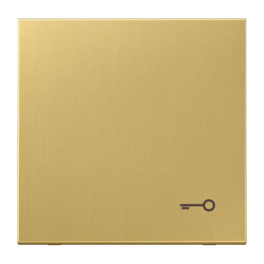 Jung Wippe, Symbol Tür, Messing, Serie LS, Messing classic ME2990TC