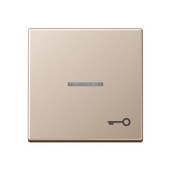 Jung Wippe mit Lichtleiter, Symbol Tür, Serie A,...