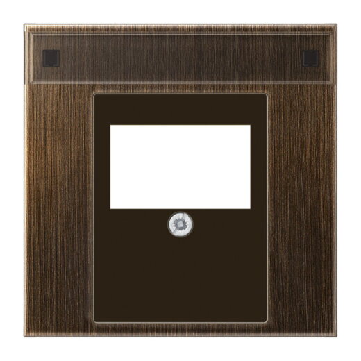 Jung Abdeckung für TAE-Anschlussdosen 1fach, mit Schriftfeld, Messing, Serie LS, Messing antik ME2969TNAAT