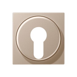 Jung Abdeckung für Schlüsselschalter mit...